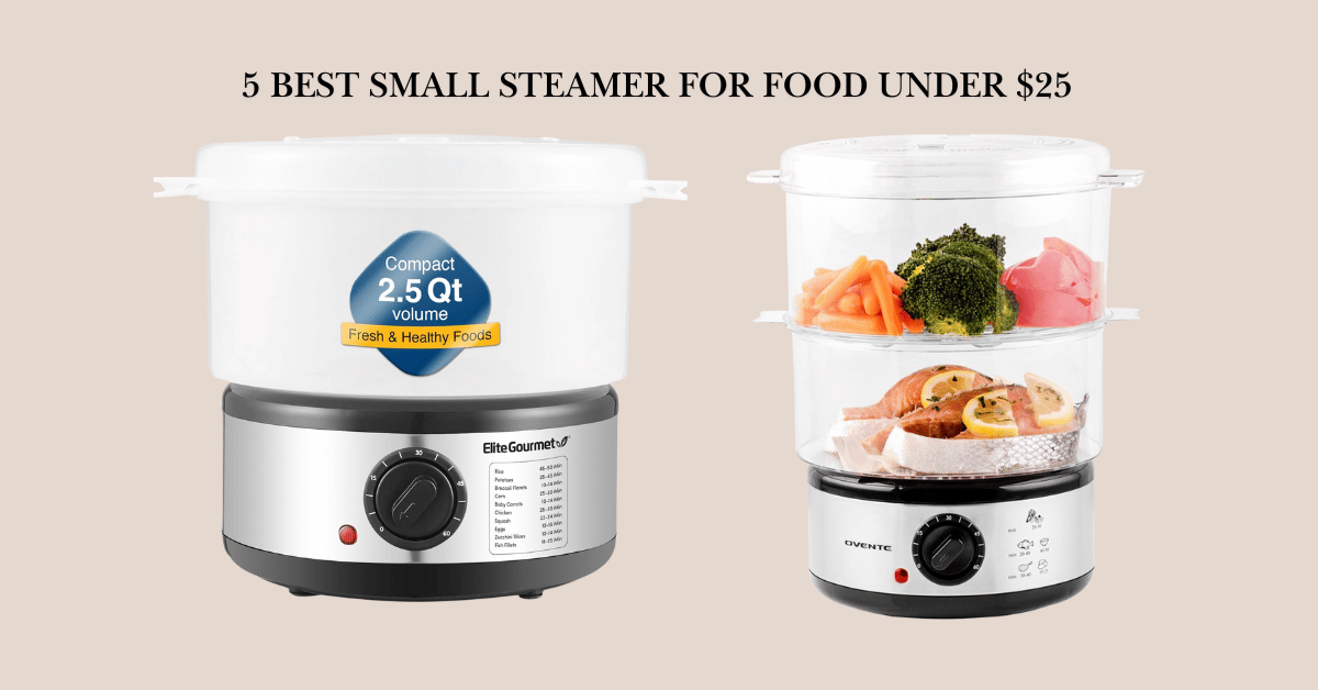 5 Best small steamer for food under $25